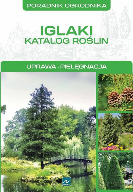 Iglaki Katalog roślin