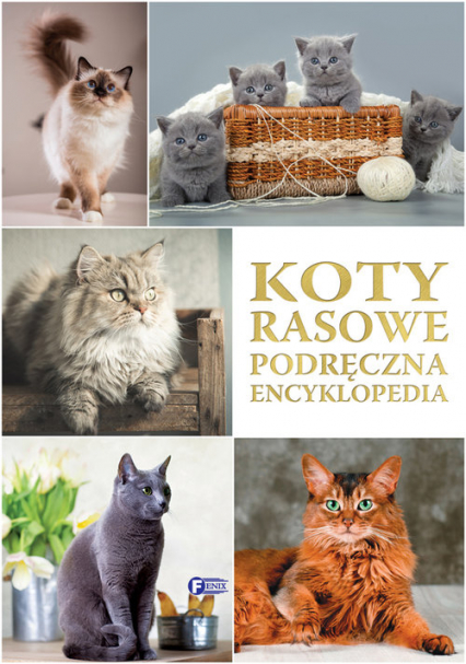 Koty rasowe Podręczna Encyklopedia