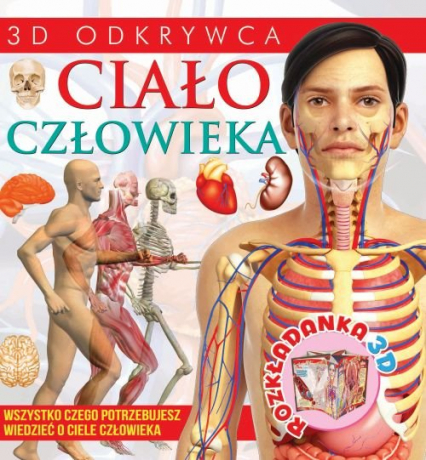 Rozkładanka 3D Ciało człowieka