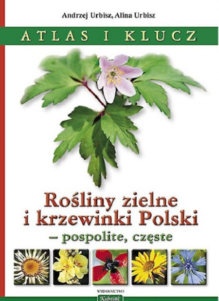 Rośliny zielne i krzewinki Polski Rośliny zielne i krzewinki Polski - pospolite, częste. Atlas i klucz.