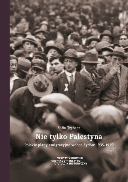Nie tylko Palestyna Polskie plany emigracyjne wobec Żydów 1935-1939