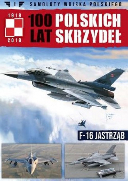 Samoloty Wojska Polskiego 100 lat polskich skrzydeł Tom 1 F-16 Jastrząb