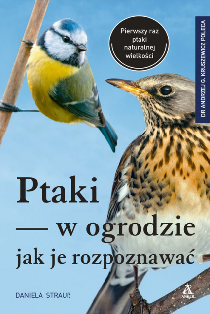 Ptaki w ogrodzie Jak je rozpoznawać